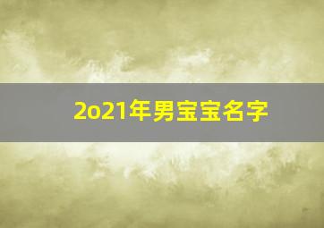 2o21年男宝宝名字