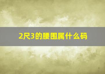 2尺3的腰围属什么码