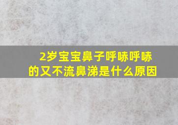 2岁宝宝鼻子呼哧呼哧的又不流鼻涕是什么原因