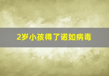 2岁小孩得了诺如病毒