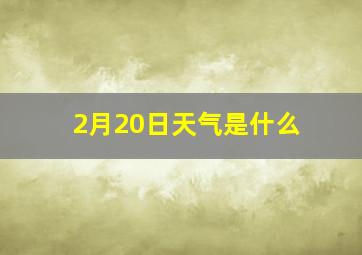 2月20日天气是什么