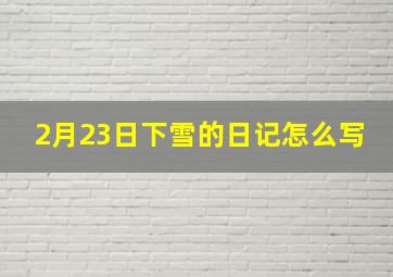 2月23日下雪的日记怎么写