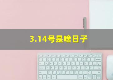 3.14号是啥日子