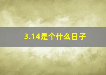 3.14是个什么日子