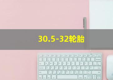 30.5-32轮胎