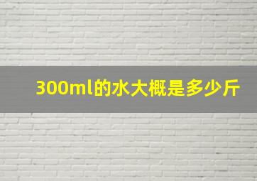 300ml的水大概是多少斤