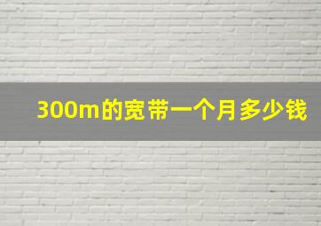 300m的宽带一个月多少钱