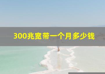 300兆宽带一个月多少钱