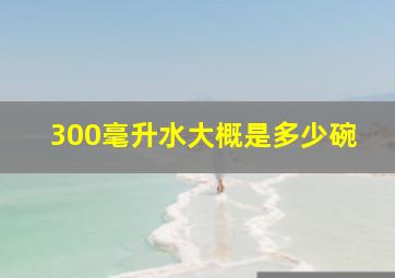 300毫升水大概是多少碗