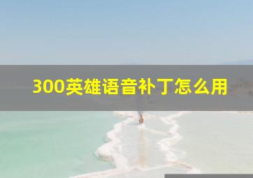 300英雄语音补丁怎么用