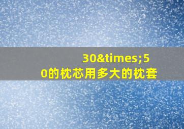 30×50的枕芯用多大的枕套