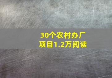 30个农村办厂项目1.2万阅读