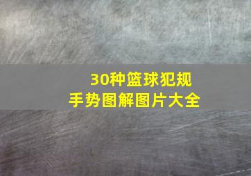 30种篮球犯规手势图解图片大全