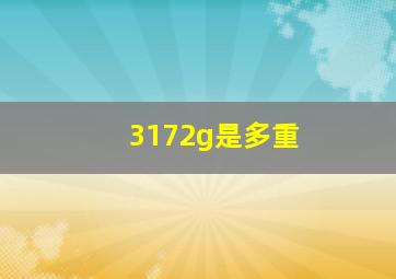 3172g是多重