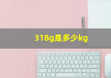 318g是多少kg