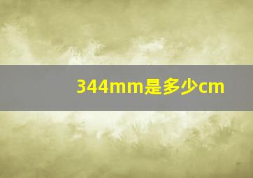 344mm是多少cm