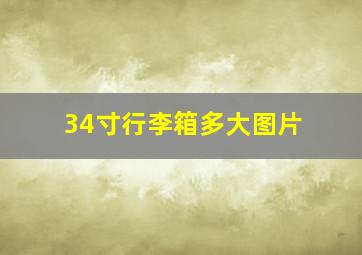 34寸行李箱多大图片