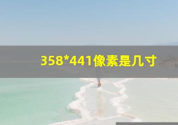 358*441像素是几寸