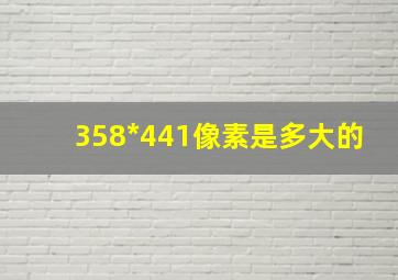 358*441像素是多大的