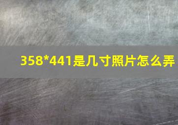 358*441是几寸照片怎么弄