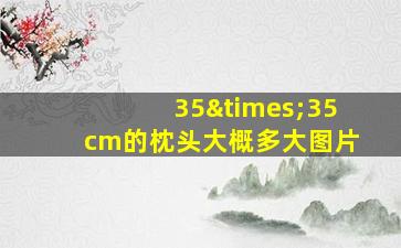 35×35cm的枕头大概多大图片