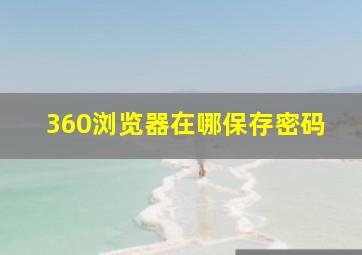 360浏览器在哪保存密码