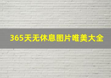 365天无休息图片唯美大全