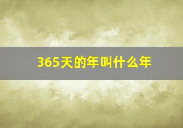 365天的年叫什么年