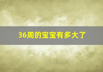 36周的宝宝有多大了