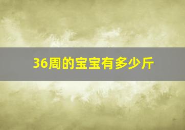 36周的宝宝有多少斤