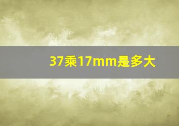 37乘17mm是多大