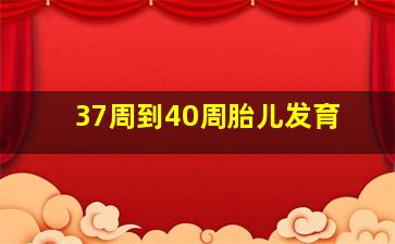 37周到40周胎儿发育