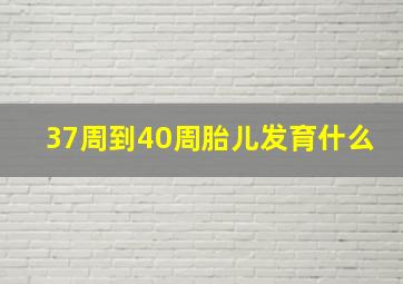 37周到40周胎儿发育什么