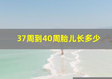 37周到40周胎儿长多少