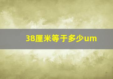 38厘米等于多少um