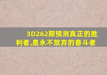 3D262期预测真正的胜利者,是永不放弃的奋斗者