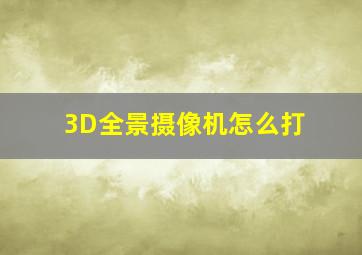 3D全景摄像机怎么打