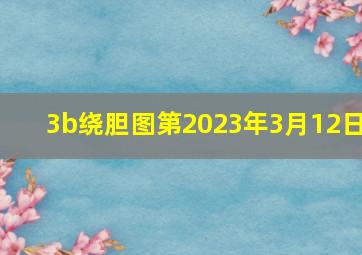 3b绕胆图第2023年3月12日