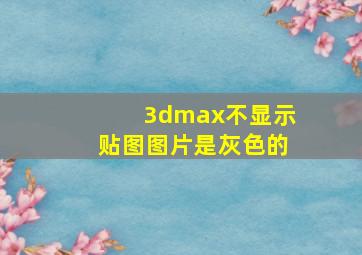 3dmax不显示贴图图片是灰色的