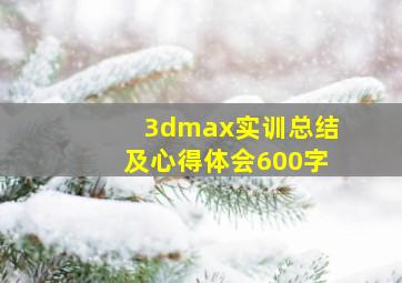 3dmax实训总结及心得体会600字