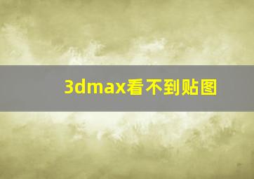 3dmax看不到贴图