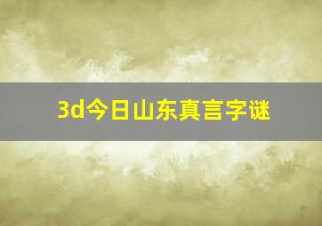 3d今日山东真言字谜