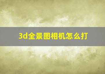 3d全景图相机怎么打