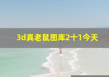 3d真老鼠图库2十1今天