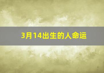 3月14出生的人命运