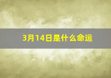 3月14日是什么命运