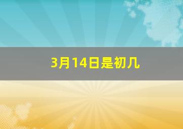 3月14日是初几