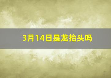 3月14日是龙抬头吗