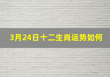 3月24日十二生肖运势如何