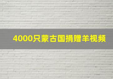 4000只蒙古国捐赠羊视频